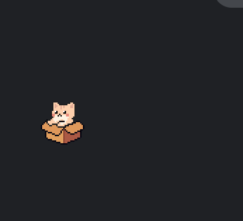 cat sits in a box
